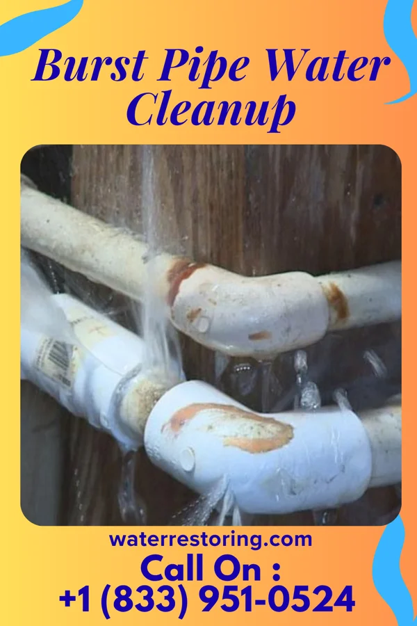 Burst Pipe Water Cleanup in Pennville, IN