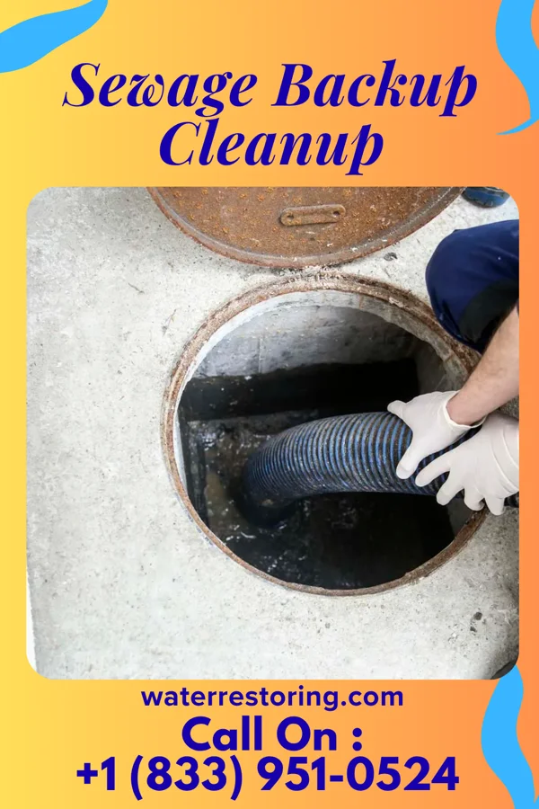 Sewage Backup Cleanup in Pennville, IN